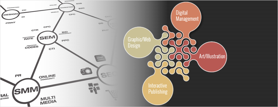 Extensive experience in digital management & strategy