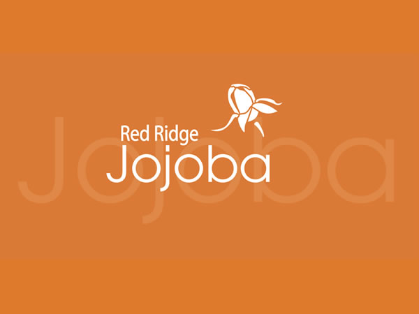 red-redge-jojoba-logo-design-600×450